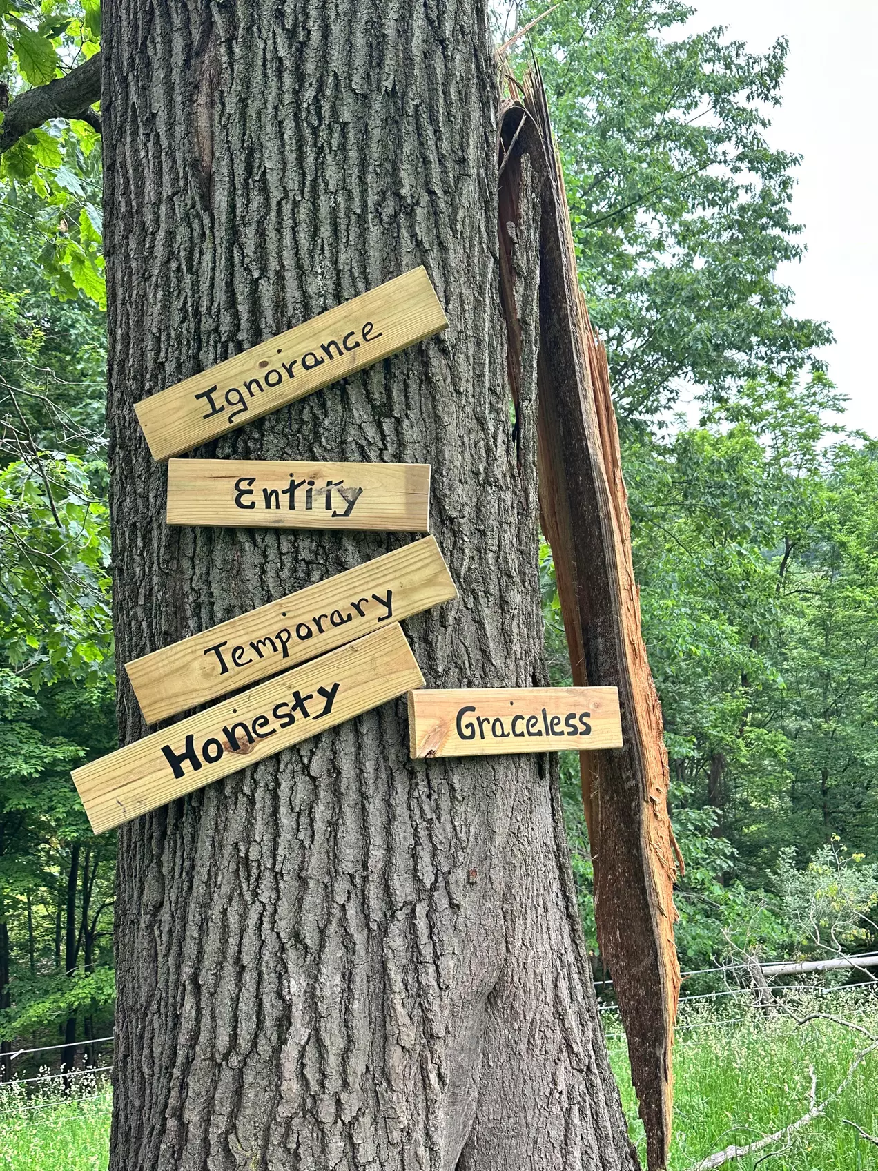 Narrated Trail Truck Adventure through Scenic Woods & Farmland, Apollo