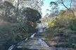 Blue Mountains Day Tour w/ Wildlife & Scenic World for Child, or Adult at Bus and Coach Charter (Up to 35% Off) - Image 4