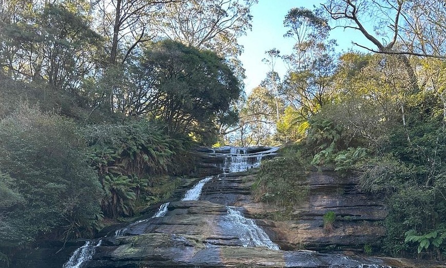 Image 4: Blue Mountains Day Tour w/ Wildlife & Scenic World for Child, or Adult