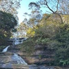 Image 4: Blue Mountains Day Tour w/ Wildlife & Scenic World for Child, or Adult