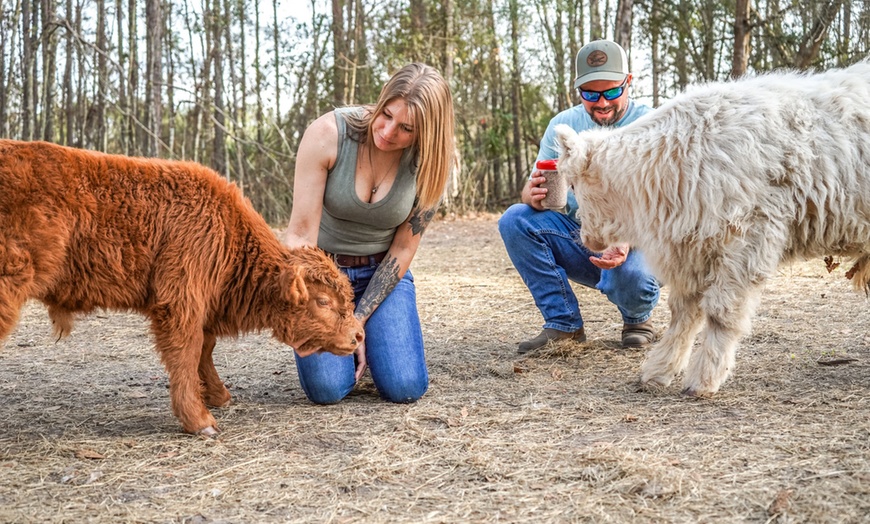 Image 11: Farm Tour at Hodges Hidden Highlands Farm in Middleburg, FL