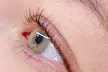 Transform Your Eyes with a Gentle Korean Lash Lift (No Tint) at Lashes by NicoleC (Up to 35% Off) - Second Medium