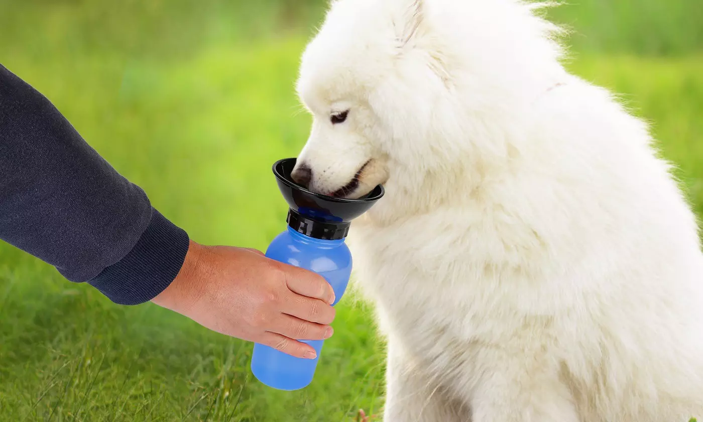 iMounTEK 500ml Pet Travel Water Bottle with Dispenser Cup