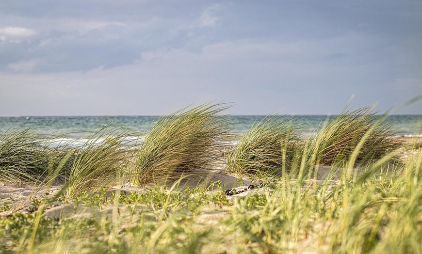 Image 3: Insel Fehmarn: 2–5 Nächte mit Frühstück und Parken