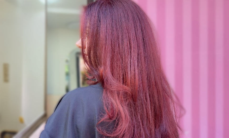 Image 1: Waschen, Schneiden, Föhnen oder Trockenhaarschnitt für 1 Person