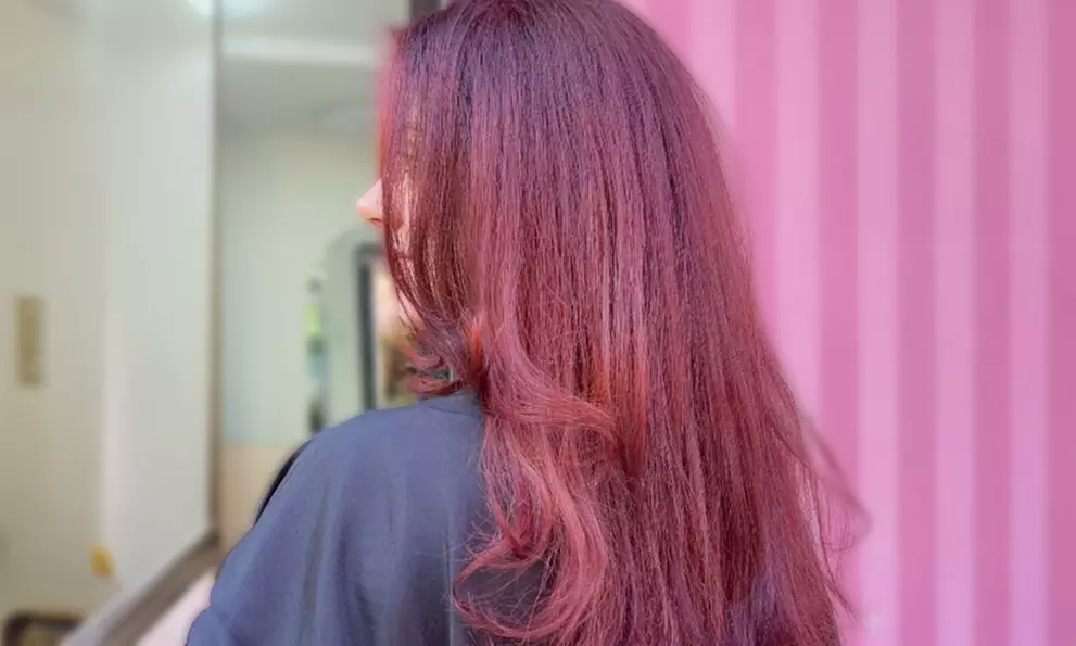 Waschen, Schneiden, Föhnen oder Trockenhaarschnitt für 1 Person