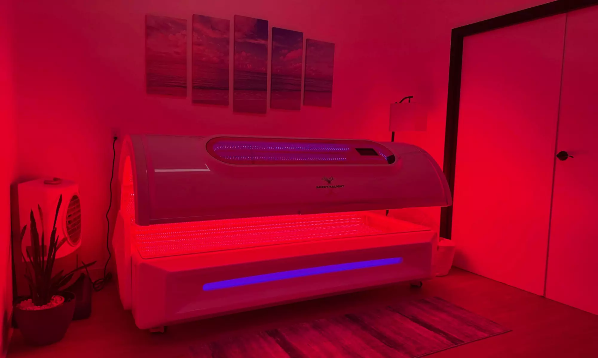 1, 3, or 5 Cold Plunge or Light Therapy Sessions - 15,30 or 45-Min  