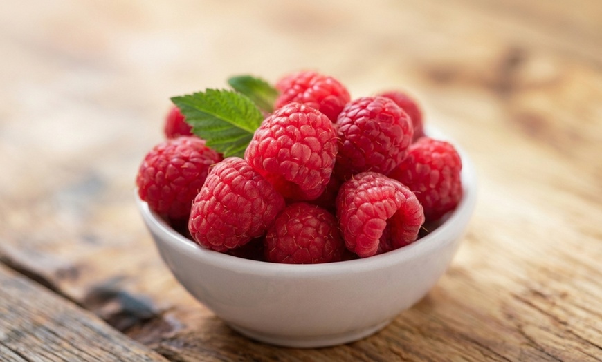 Image 7: Raspberry Full Season Collection 9 or 18 Bare Root Canes