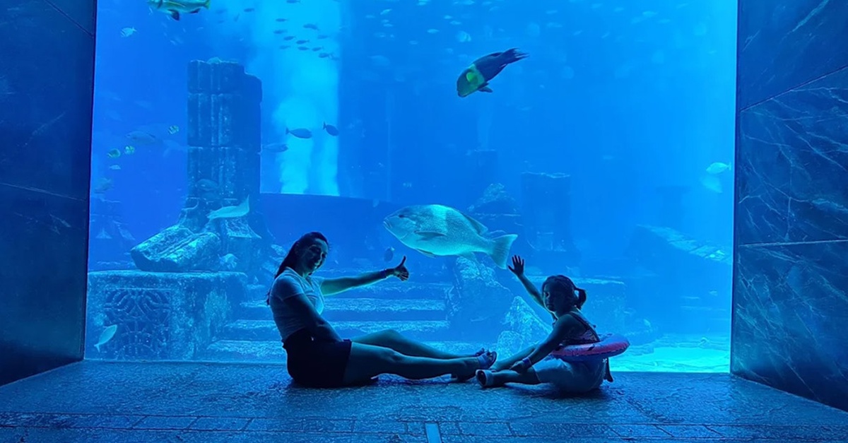 Explore The Lost World Aquarium – Entry For Kids, Adults & Families Explore The Lost World Aquarium – Entry For Kids, Adults & Families