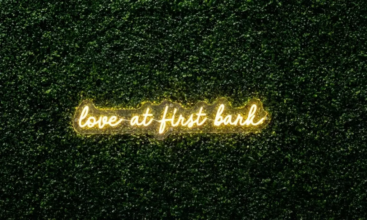 Indoor Dog Park Day Pass with Drinks for You