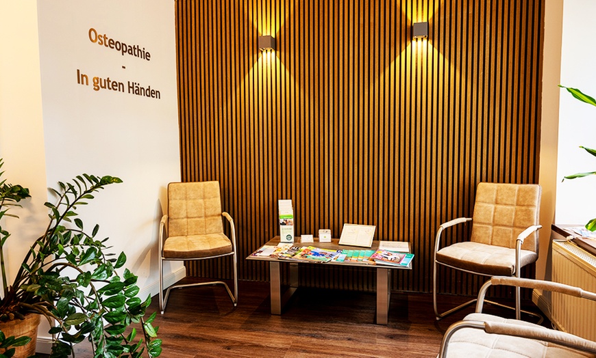 Image 16: 1 oder 2x osteopathische Behandlungen nach Wahl für 1 Person