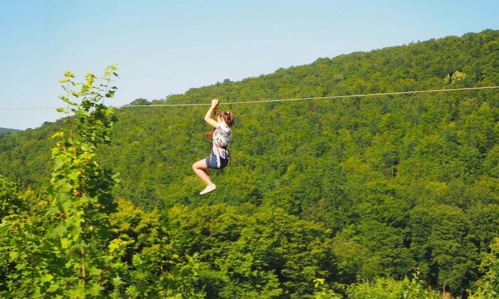 Aventure en plein air : accrobranche & activités dès 2 ans