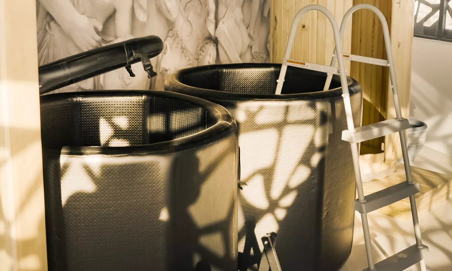 Shared Ice Bath, Traditional Saunas or Group Saunas for 4 or 6 people