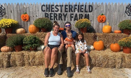 1 Person: Corn Maze + Pumpkin Patch Ultimate Farm Fun Pass - Chesterfield Berry Farm