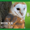 Image 11: Experience the Thrill: Two-Hour Birds of Prey Adventure for 1, 2, or 4