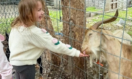 45-minute Guided Farm Tour with animal feed and Souvenir photo for 1, Valid  to - DT Empire A Family Farm