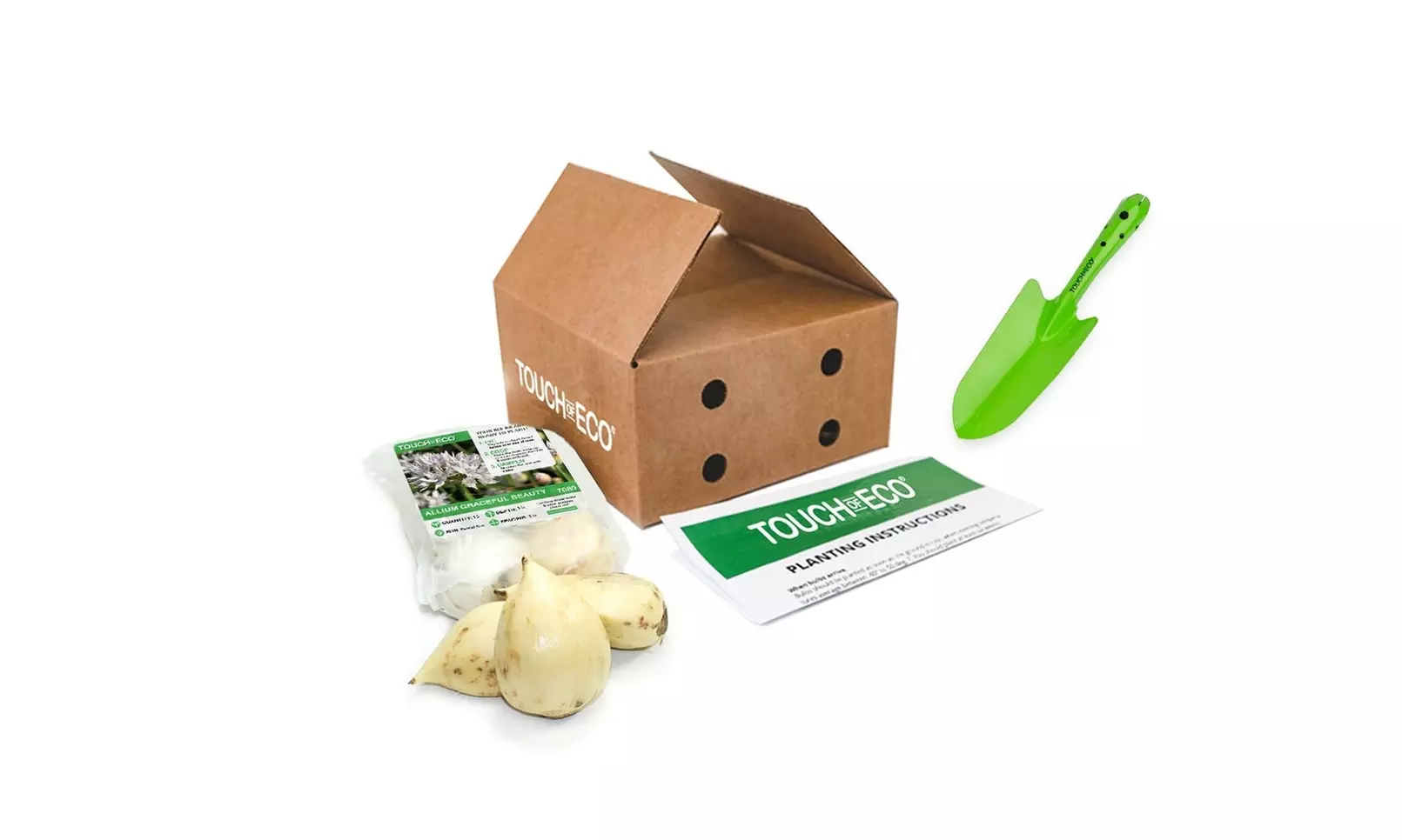 Graceful Beauty White Allium Flowers (15, 30, & 60 Bulbs With Planting Tool)