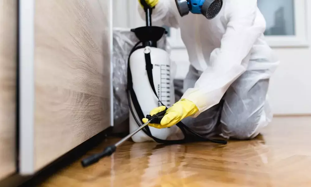 Termite Inspection + Full Report