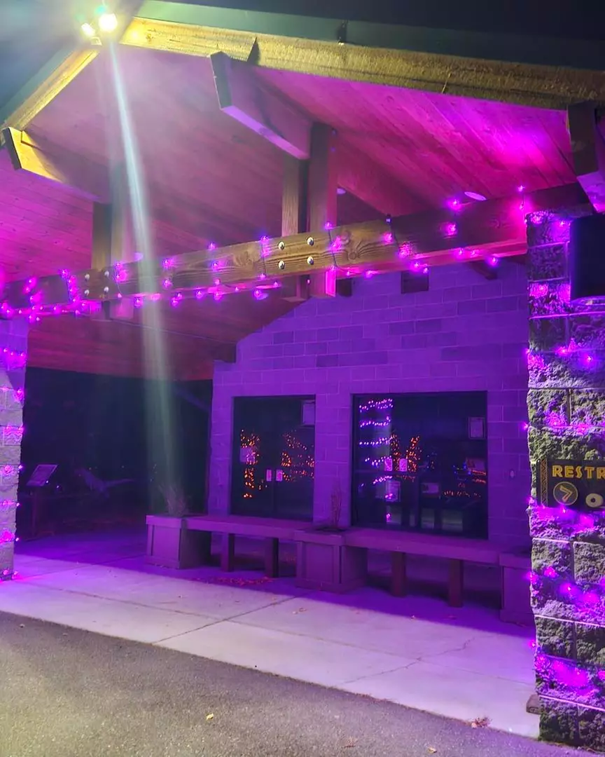 Admission to the Annual Dinos in the Dark Halloween Event; For All Age