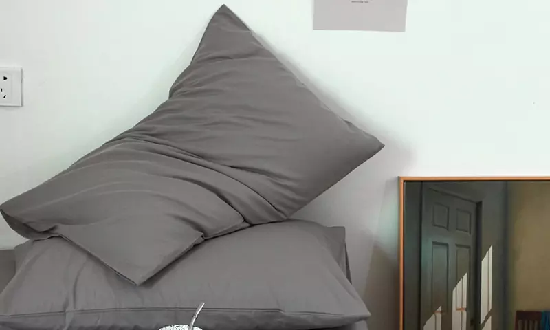 Pure Cotton 2 Piece Pillowcase Set