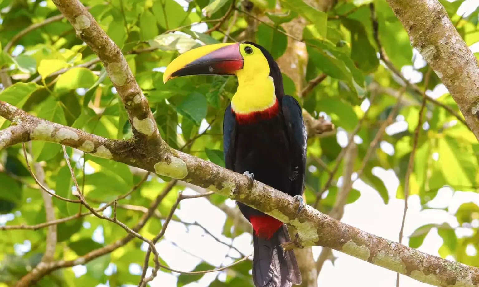 ✈ 4-Nt Costa Rica Getaway w/ Optional Air & Hotels from Travel by Jen