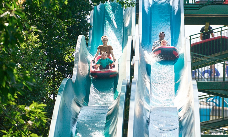 Image 6: Une journée d'amusement au Walygator Sud-Ouest