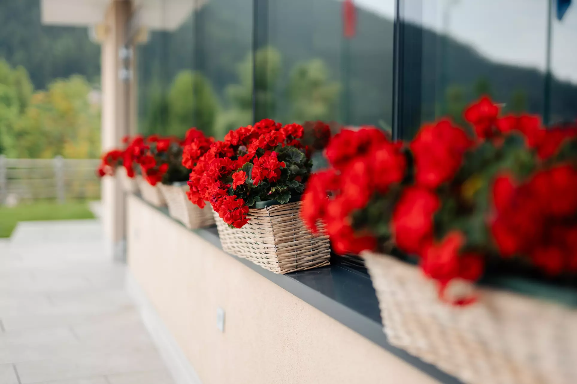 Trentino: Zimmer mit Frühstück oder Halbpension und Spa