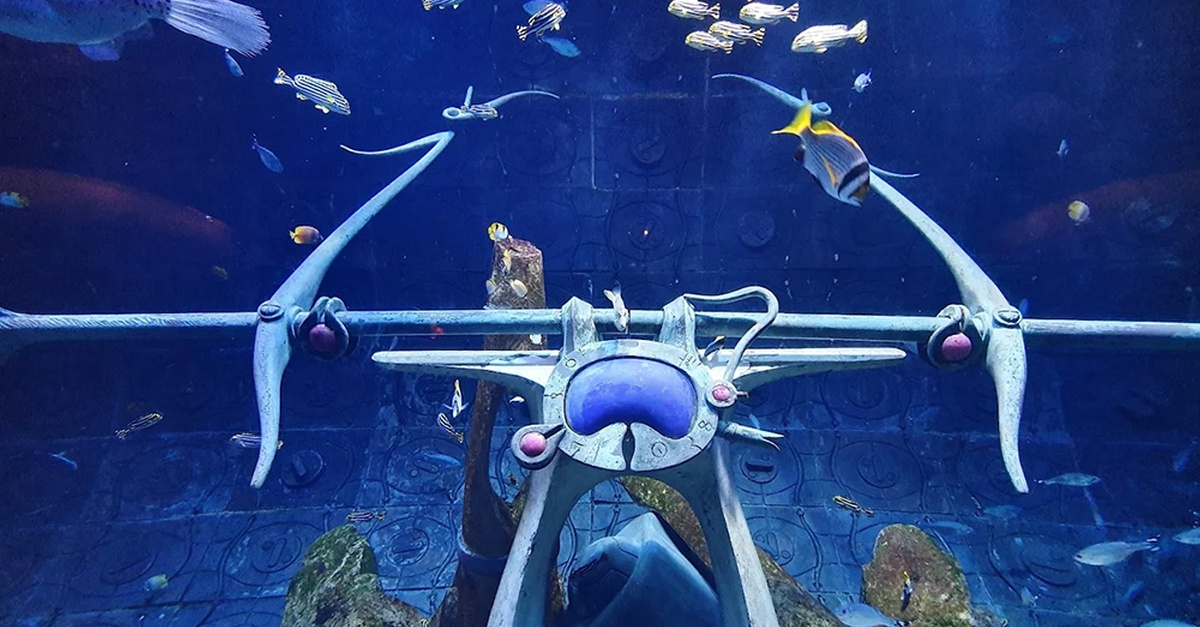 Explore The Lost World Aquarium – Entry For Kids, Adults & Families Explore The Lost World Aquarium – Entry For Kids, Adults & Families