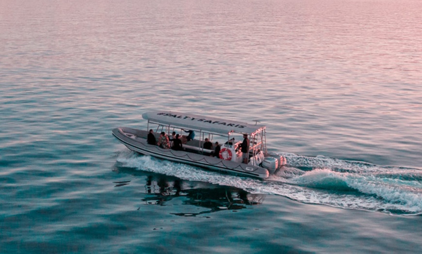 Image 3: Four-hour of Whales & Beaches, Big Woody Hiking, or Island Hopper