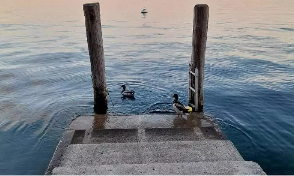Lago di Garda: colazione, mezza pensione o All Inclusive, Spa e bici