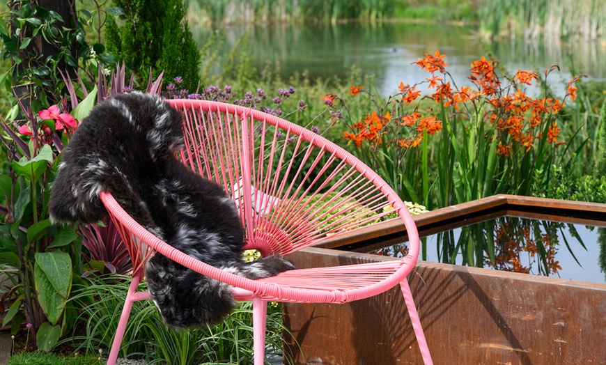 Image 8: Ticket to BBC Gardeners’ World Autumn Fair | August 30 & 31