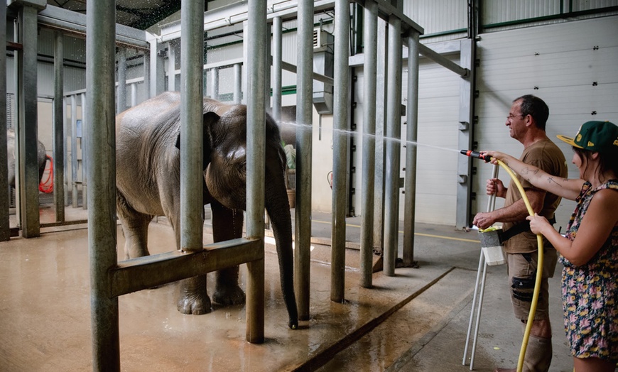Image 38: Vivre les missions d’un soigneur au Touroparc Zoo