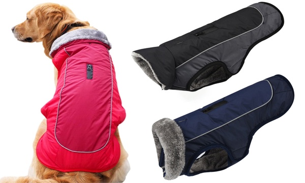 warm dog jacket