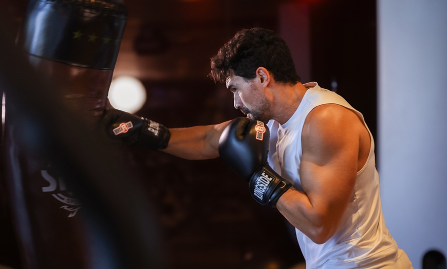 Image 4: 30 or 90-Day Gym Access + Opt Pool & Wellness Facilities for 1 or 2