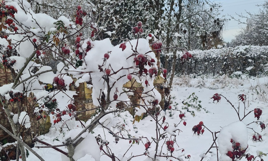 Image 25: Enjoy Festive family fun with Entry Tickets for Adults and Childrens