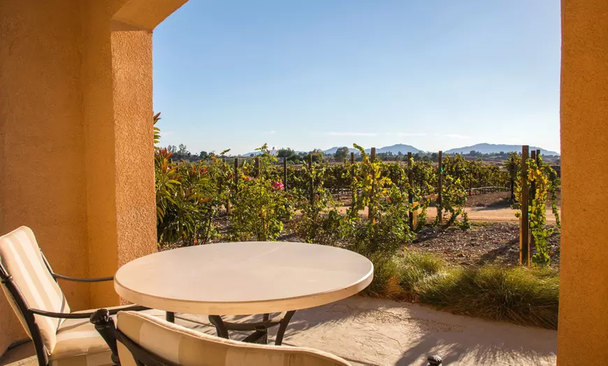 Vineyard and event grounds