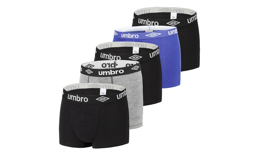 Image 8: Lot de cinq caleçons en coton pour hommes Umbro