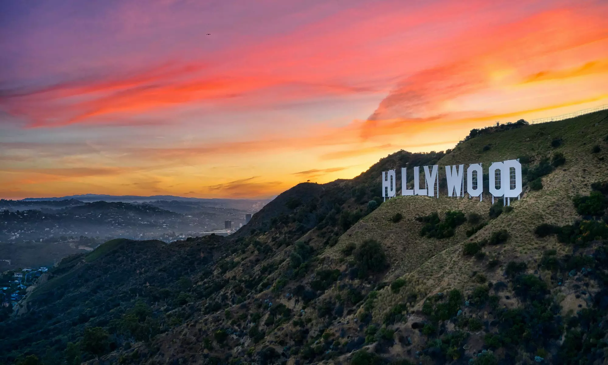 Soar Over Los Angeles with 45-Minute The See LA Helicopter Tour 