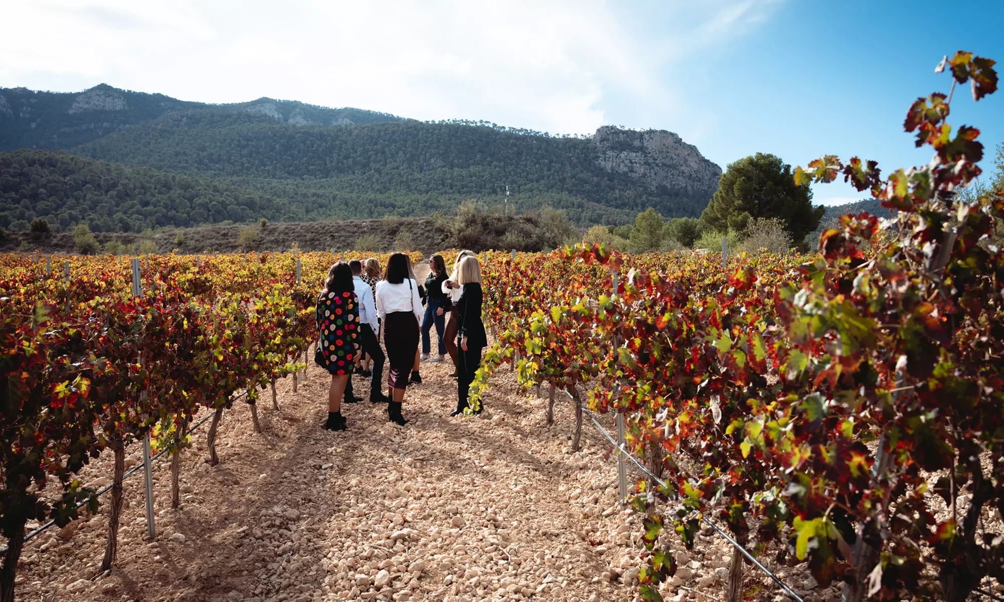 Experiencia de cata de vinos a elegir para 2 con picoteo y botella