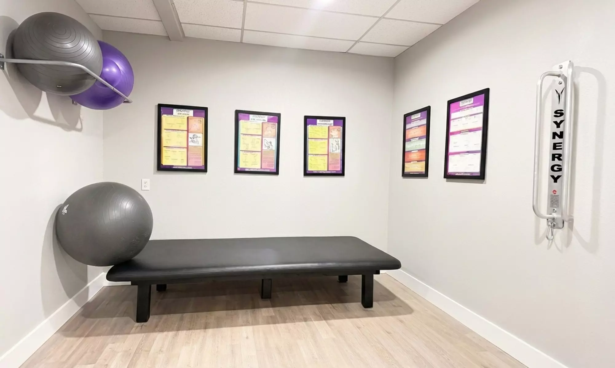 Chiropractic Exam, Adjustment, and Therapy Sessions