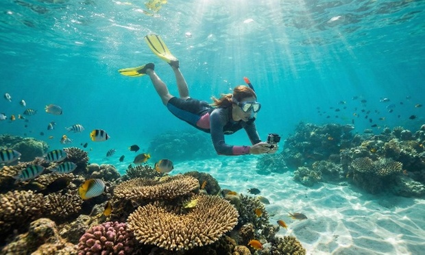 What to expect media