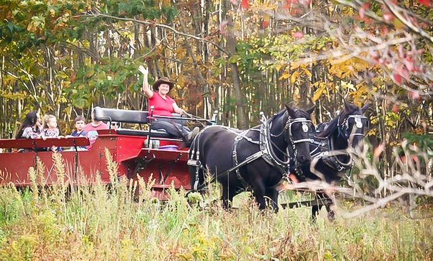 Image 5:  Group Horse-Drawn Sleigh/Wagon Ride with Guide at Cornerstone Ranch