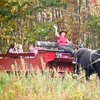 Image 5:  Group Horse-Drawn Sleigh/Wagon Ride with Guide at Cornerstone Ranch