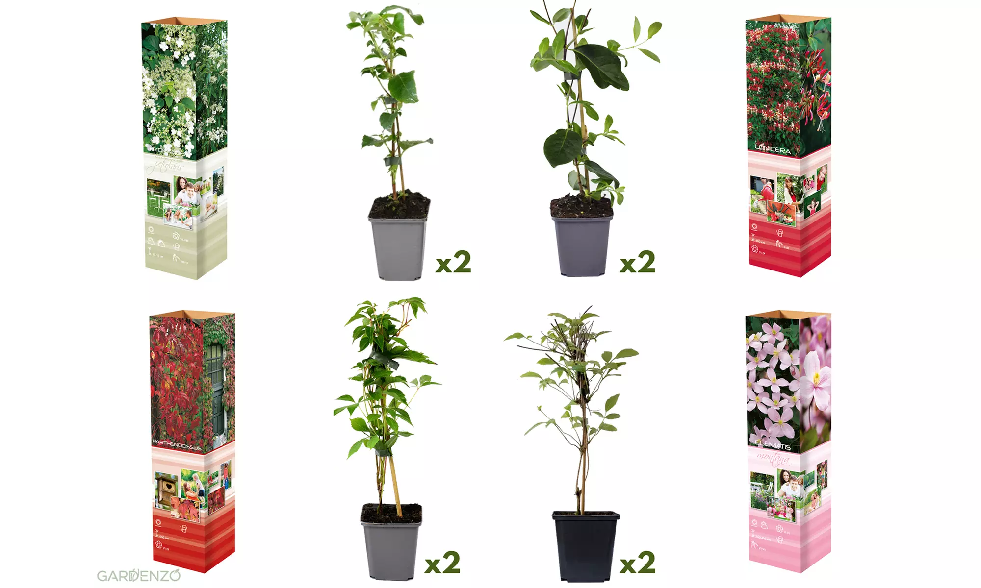 Mix van 8 klimplanten