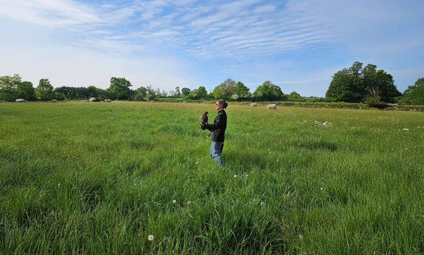 Image 2: Experience One Hour Hawk Walk for One, Two, or Family of Four