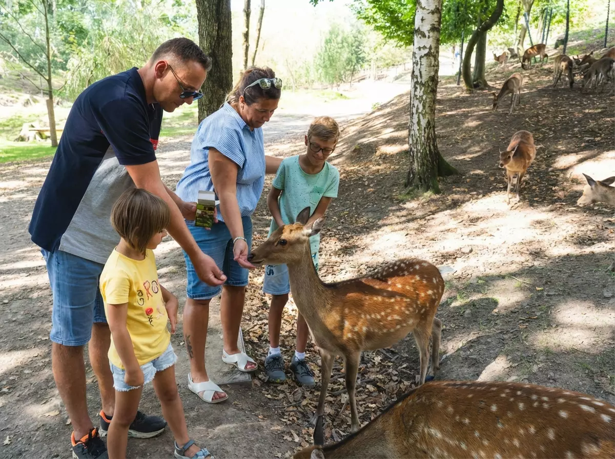 Ticket ab 4 Jahren für den Sonnenlandpark für Winter oder Saisonstart