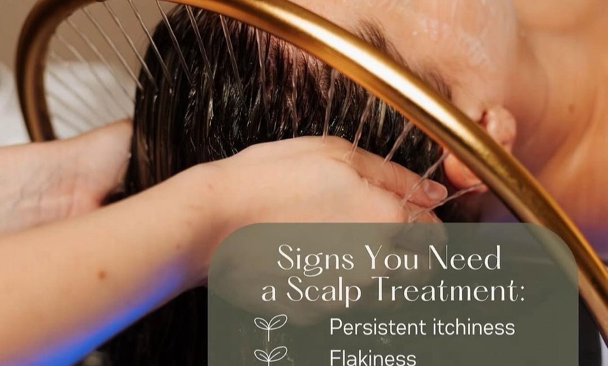 Image 2: 30 or 60-Min Head Spa (Mini Facial & Massage) or 90-Min VIP Head Spa