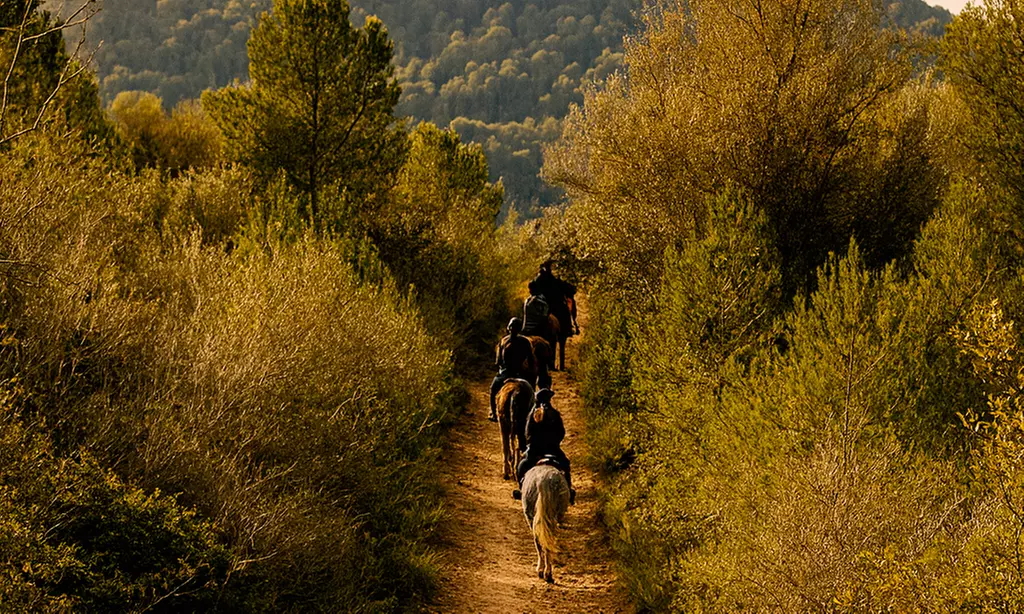 Explora Finestrat a lomos de un caballo: ruta a caballo de 1 hora para 1, 2 o 4 personas con un 39% de descuento - Image 5