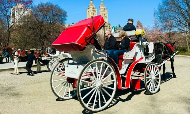 What to expect media