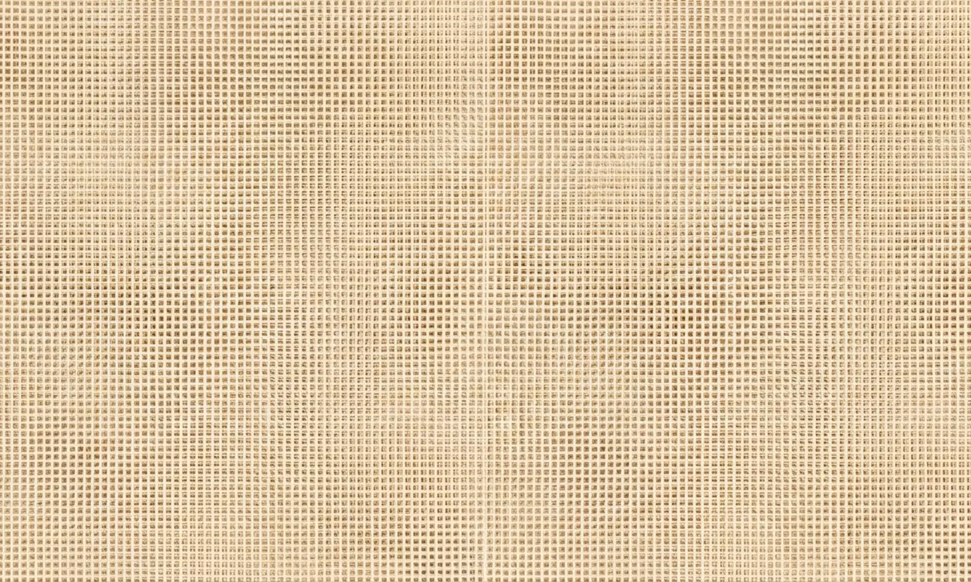 1 of 2 vliegengordijnen